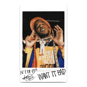 want it bad single kid cudi and nigo want it bad single kid cudi and nigo