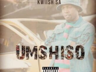Kwiish SA – Lingashoni