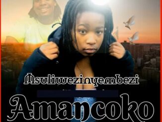 Msuliwezinyembezi - AMANCOKO