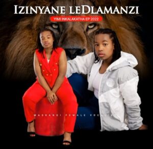 Izinyane le Dlamanzi - Isandla somndeni