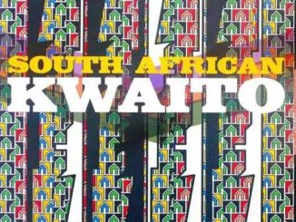 Top Kwaito Artists in South Africa