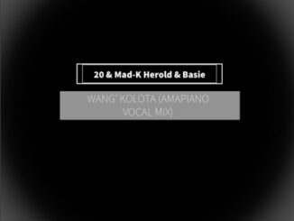 Basie - Wang Kolota (Amapiano Mix)