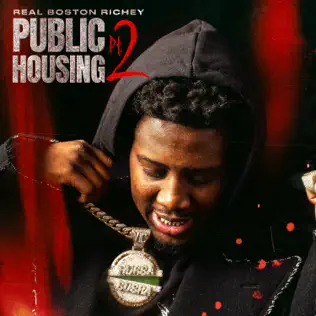 Public Housing Pt. 2 Real Boston Richey Public Housing Pt. 2 Real Boston Richey