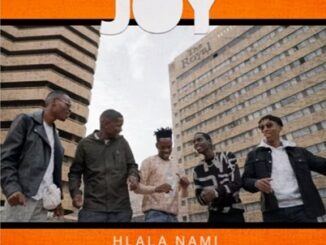 The Joy – Hlala Nami