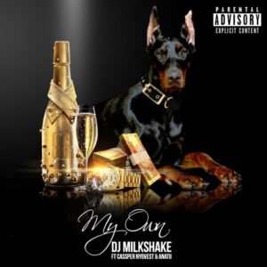 DJ Milkshake - My Own 