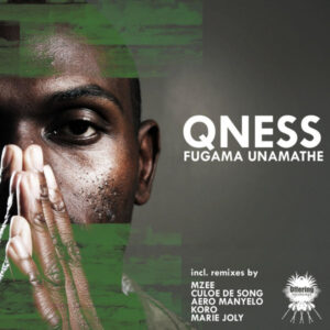 DJ Qness - Fugama Unamathe