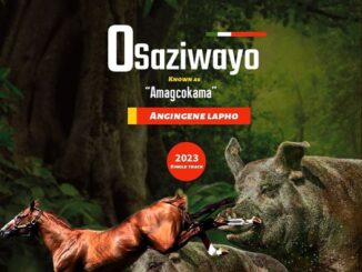 Osaziwayo - Angingene lapho