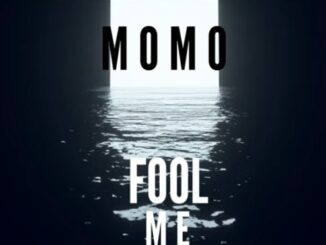 Kelvin Momo - Fool Me Remix