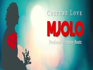 Culture Love - Mjolo