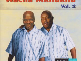 The Best of Wacha Mkhukhu Vol 2