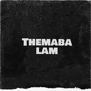 The Groovist - Themba Lam