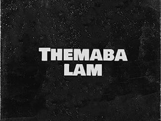 The Groovist - Themba Lam