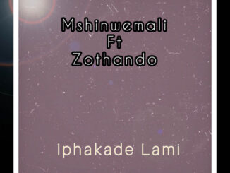 Mshinwemali - Iphakade Lami