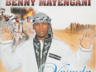 Benny Mayengani - Mali Ya Valungu