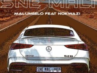 Malungelo ft Nokwazi – Sne Mali