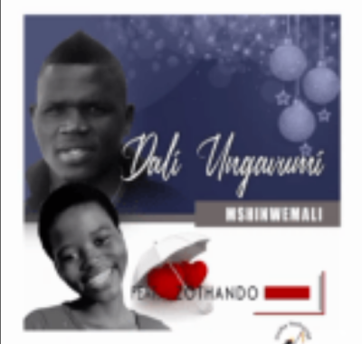 Mshiniwemali – Dali Ungavumi