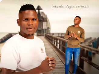 Ngicel Uhambe (feat. Zothando) · Mshinwemali · Zothando · Senzo Ntuli · Senzo Ntuli · Zothando Mbuyazi