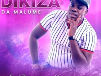 Dikiza - Dikiza Dya Malume (ft. Benny Mayenganie)