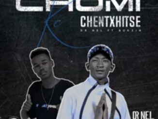 Dr Nel - Chomi ke chentxhitse (ft. Bukzin)