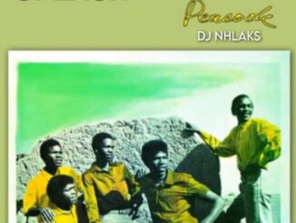 DJ Nhlaks - Peacock (Amapiano Remix)