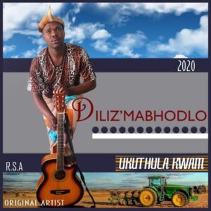 Diliz'mabhodlo - Izinto Zimane Ukwenzeka