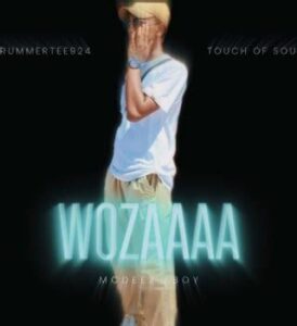 Mcdeez Fboy – ‎Wozaaaa