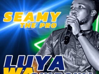 SEAMY THE PRO - Luya Wa Sweswi