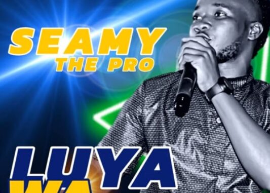 SEAMY THE PRO - Luya Wa Sweswi