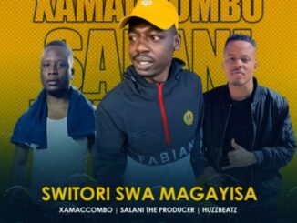 Salani The Producer - Switori Swa Magayisa