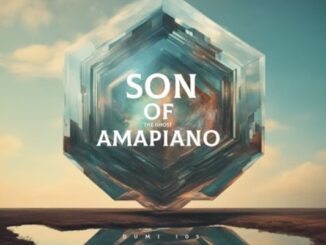 Dumi 105 - Son Of Amapiano Album