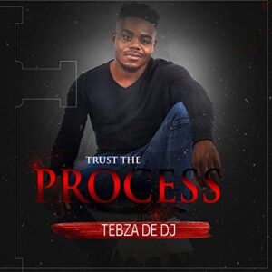 Tebza De DJ - Trust the Process