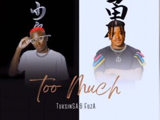 TuksinSA & Fuza – Too Much