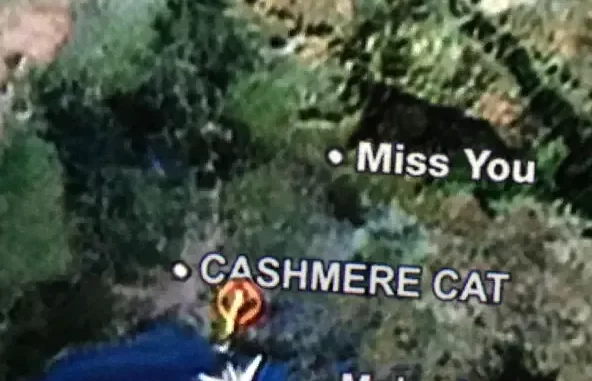Miss You Single