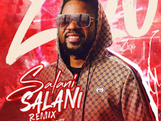 Ziqo - Salani Salani (Remix)