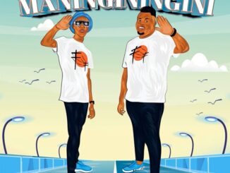 Vanhu Va MtakaRoW - Maninginingini (ft. King Tsonga)