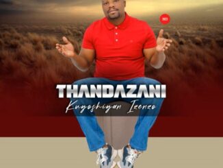 Thandazani - Kuyoshiyan' izenzo (ft. Mzukulu)