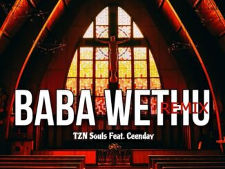 TZN Souls - Baba Wethu (Remix Version)
