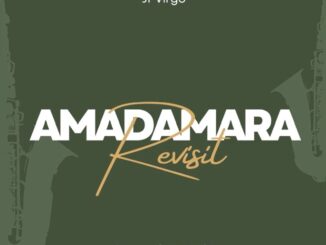 Jr Virgo - Amadamara Amapiano Remix