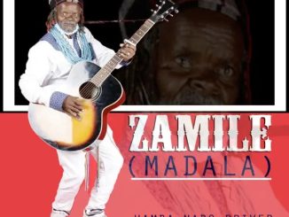 Zamile (Madala) - Hamba Nabo Driver