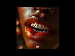 King P – Woza La ft Tumilemang King P – Woza La ft Tumilemang