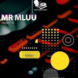 Mr Mluu – Project X