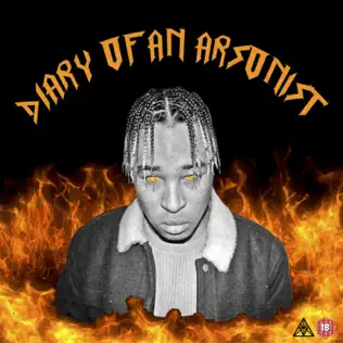 PatricKxxLee – Diary of an Arsonist