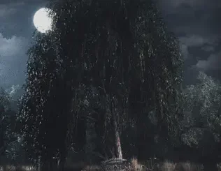 BONES – UnderTheWillowTree