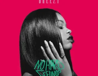Dreezy – No Hard Feelings