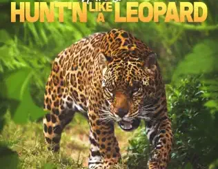 Hitta Slim – Hunt'n Like A Leopard