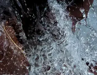 Medhane – Cold Water