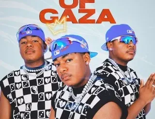 MetroBeatz RSA Ft. FAMANDA – Xitori Na Xitori