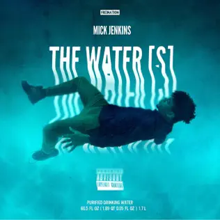 Mick Jenkins – The Water (S)