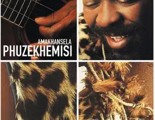 Phuzekhemisi – Amakhansela
