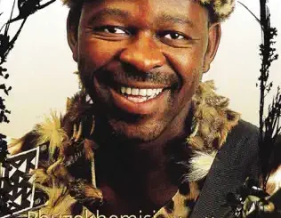 Phuzekhemisi – Nginenkinga